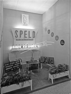 Fiera Campionaria di Vicenza 1950 Stand SPELD