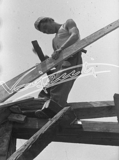 Basilica Palladiana : restauro 1947-1951. pellicola-negativo bianco e nero-24X36