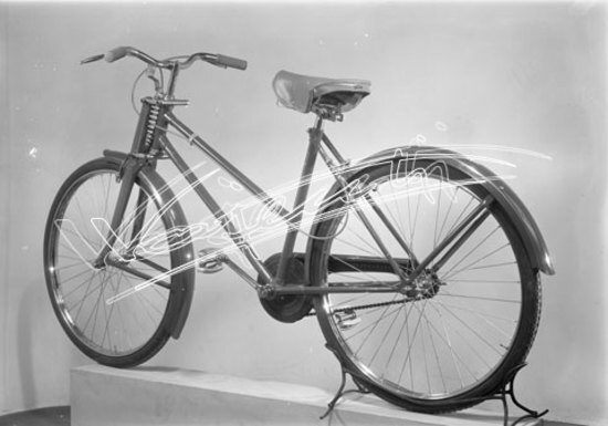 Cicli GOTT : di Chemello e Cappelletti. lastra di vetro - negativo bianco e nero fto mm 130x180