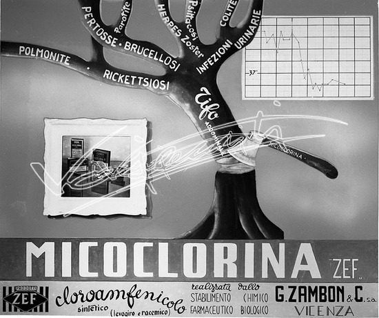 Farmaceutica Zambon. lastra di vetro - negativo bianco e nero fto mm 180x240