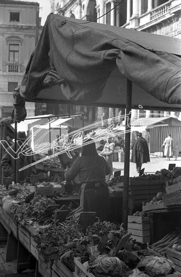 Piazza delle Erbe. pellicola - negativo bianco e nero fto mm 24X36