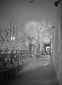 Fiera Campionaria di Vicenza 1948 Fiera Campionaria di Vicenza 1948