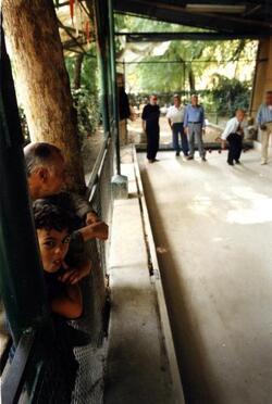 ANZIANI PENSIONATI GIOCANO A BOCCE