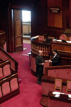 SENATO AULA VUOTA