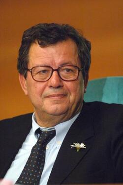 GIORGIO PASETTO POLITICO