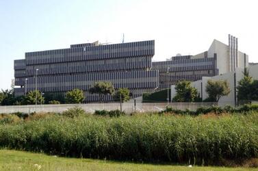 WORLD FOOD PROGRAM SEDE sede