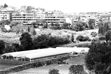 EDILIZIA ANNI OTTANTA portuenSe