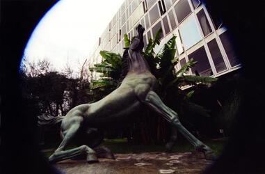 CAVALLO RAI VIALE MAZZINI