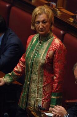 LAURA FINCATO POLITICO