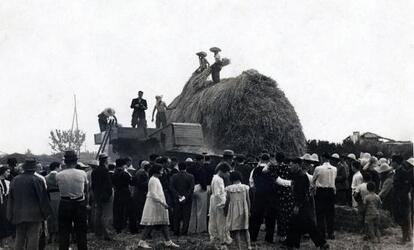 FASCISMO MIETITURA GRANO