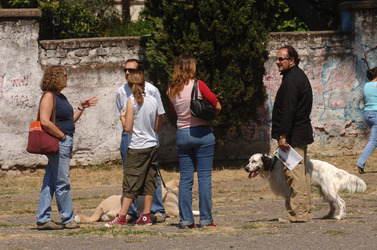 CANI ANIMALI DOMESTICI
