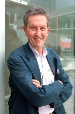 MICHELE SALVATI ECONOMISTA