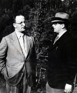 NELLO CARLO ROSSELLI