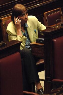 FLAVIA PERINA POLITICO AN