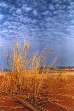 NAMIBIA DESERTO NAMIB CIELO NUVOLE AFRICA