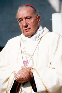 DON RIBOLDI VESCOVO DI ACERRA