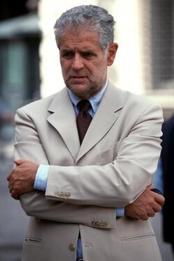 ROBERTO FORMIGONI POLITICO