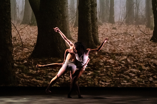 NY Fall For Dance Festival Program 4 NY Fall For Dance Festival Program 4