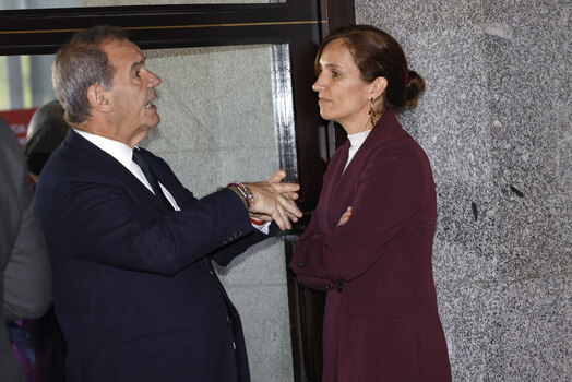 Queen Letizia presides over the inauguration of the 17th Ibero American Conference of Ministers of Health