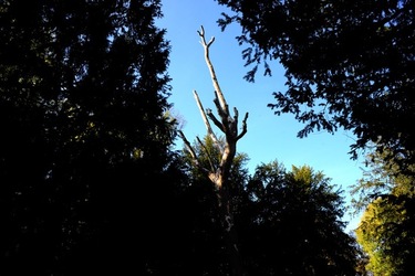 VENEZIA Giardini della Biennale di Arch. Cont.. Fotografie di Giulio Azzarello ©2022.