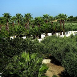 SELINUNTE. Fotografie di Giulio Azzarello ©2022. SELINUNTE. Fotografie di Giulio Azzarello ©2022.