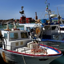 SELINUNTE. Fotografie di Giulio Azzarello &copy;2022.