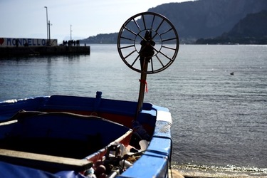 FEBBRAIO Fotografie di Giulio Azzarello &copy;2022.