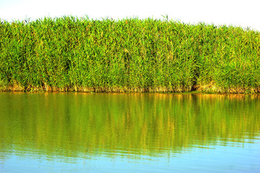 CANNETI in SICILIA. Fotografie di Giulio Azzarello &copy;2016.