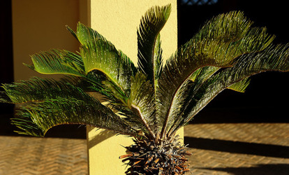 TENUTA vitivinicola in Sicilia. Fotografie di Giulio Azzarello ©2016. TENUTA vitivinicola in Sicilia. Fotografie di Giulio Azzarello ©2016.