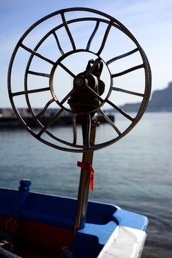 FEBBRAIO Fotografie di Giulio Azzarello &copy;2022.