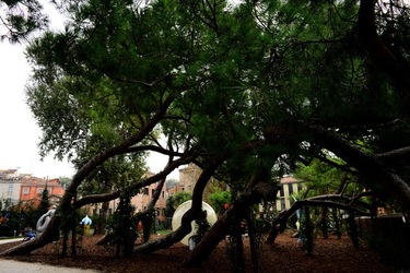 BIENNALE ARTI CONTEMPORANEE DI VENEZIA fotografie di Giulio Azzarello ©2020.