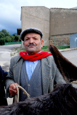 TIPICO FRANTOIO fotografie di Giulio Azzarello ©2014. TIPICO FRANTOIO fotografie di Giulio Azzarello ©2014.