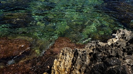 BAIA DEL CORALLO. Fotografie di Giulio Azzarello &copy;2022.