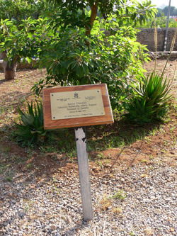 GIARDINO DELLA MEMORIA in Sicilia. Fotografie di Giulio Azzarello &copy;2014.