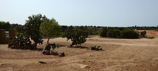 SELINUNTE il sito e parco archeologico. Fotografie di Giulio Azzarello &copy;2014.