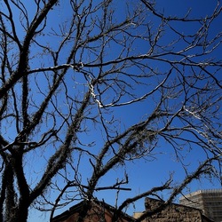 Arabo Normanno. Fotografie di Giulio Azzarello ©2024. Arabo Normanno. Fotografie di Giulio Azzarello ©2024.