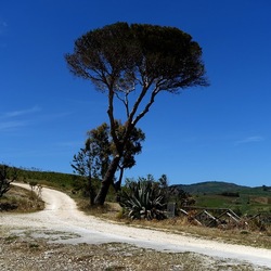 SEGESTA. Fotografie di Giulio Azzarello ©2024. SEGESTA. Fotografie di Giulio Azzarello ©2024.