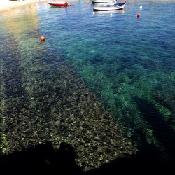 BARCHE. Fotografie di Giulio Azzarello &copy;2022.