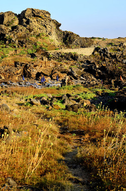 ISOLA DI USTICA la costa. Fotografie di Giulio Azzarello &copy;2016.
