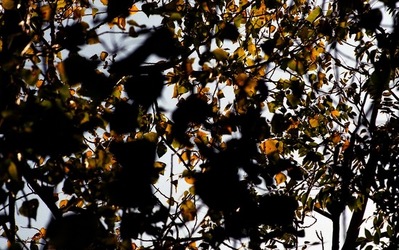 PALERMO fotografie di Giulio Azzarello ©2020.