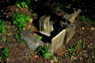 GIARDINO SICILIANO fotografie di Giulio Azzarello &copy;2020.