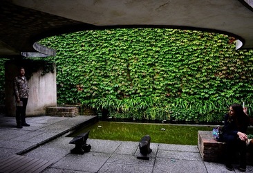 BIENNALE di VENEZIA Arte Contemporanea Giardini. Fotografie di Giulio Azzarello &copy;2020.