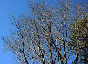 LE TERME DI CARACALLA a Roma visioni panoramiche o particolari. Fotografie di Giulio Azzarello &copy;2014.
