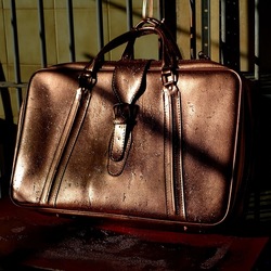 NATURE MORTE. Fotografie di Giulio Azzarello ©2024. NATURE MORTE. Fotografie di Giulio Azzarello ©2024.