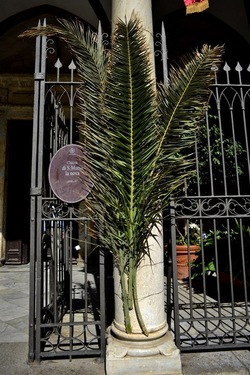 CENTRO STORICO di PALERMO fotografie di Giulio Azzarello ©2019.