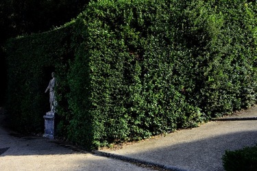 FIRENZE PALAZZO PITTI e GIARDINO DI BOBOLI. Fotografie di Giulio Azzarello &copy;2022.