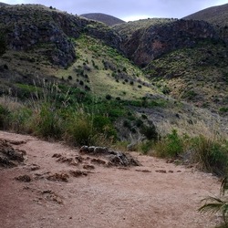 RISERVA dello ZINGARO fotografie di Giulio Azzarello &copy;2020.