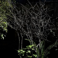 Arabo Normanno. Fotografie di Giulio Azzarello ©2024. Arabo Normanno. Fotografie di Giulio Azzarello ©2024.