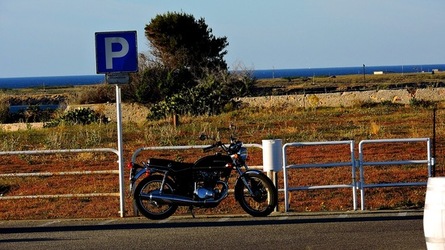 CAPO RAMA riserva naturale Terrasini. Fotografie di Giulio Azzarello &copy;2020.