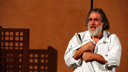 CARLO MAGNO spettacolo epico di e con Mimmo Cuticchio. Fotografie di Giulio Azzarello &copy;2014.